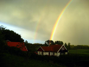 I enden av regnbuen ligger det en gullskatt, Everotts kennel