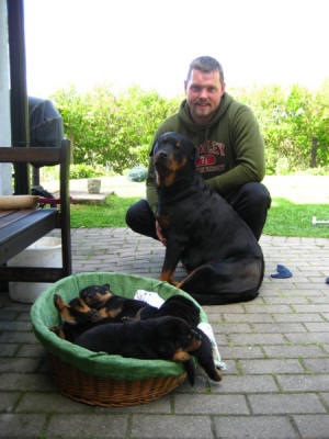 Finn-Arild sammen med mor, Donna og valpene